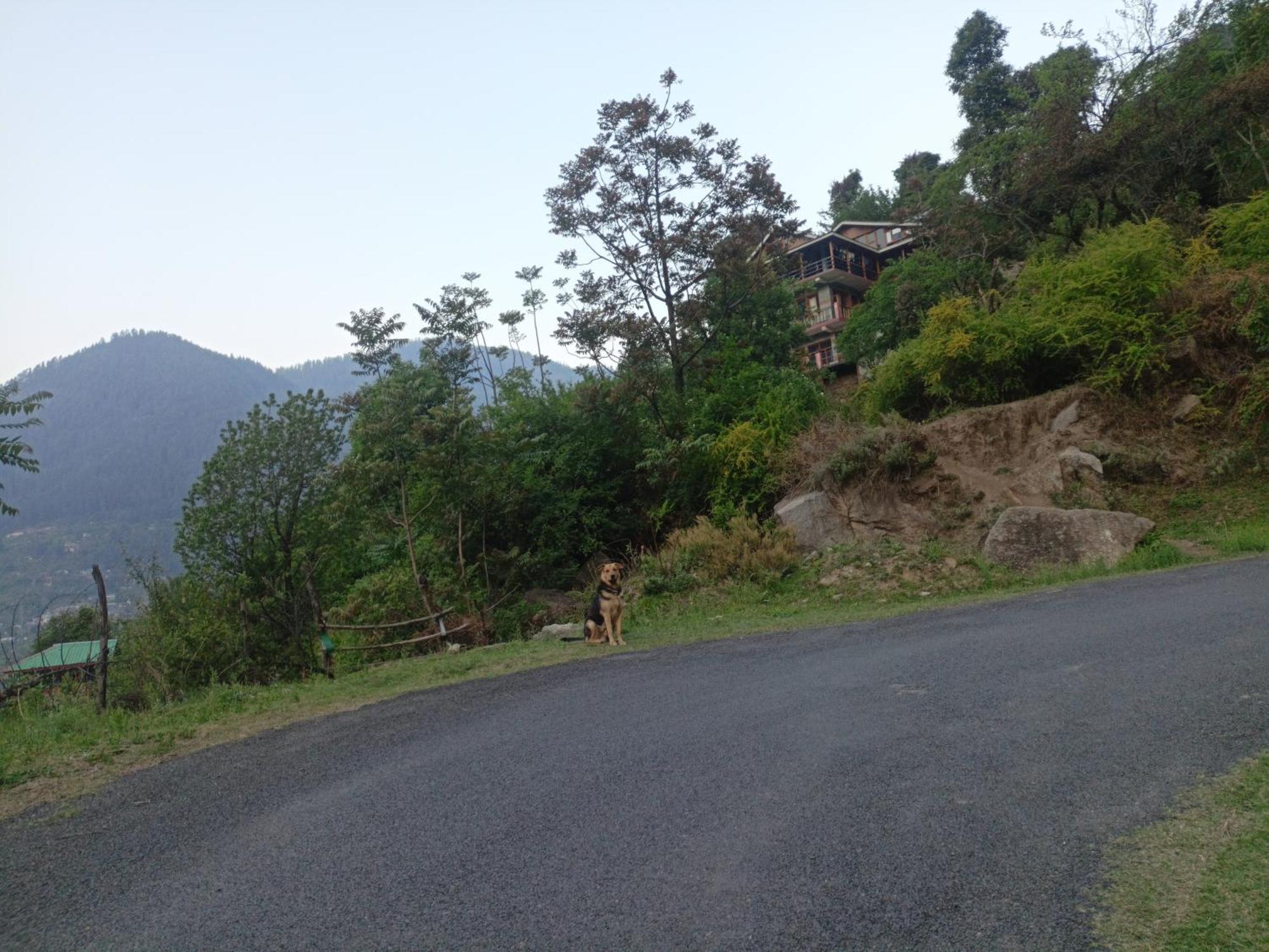 Tirthan Hilltop Home Stay Banjār Εξωτερικό φωτογραφία