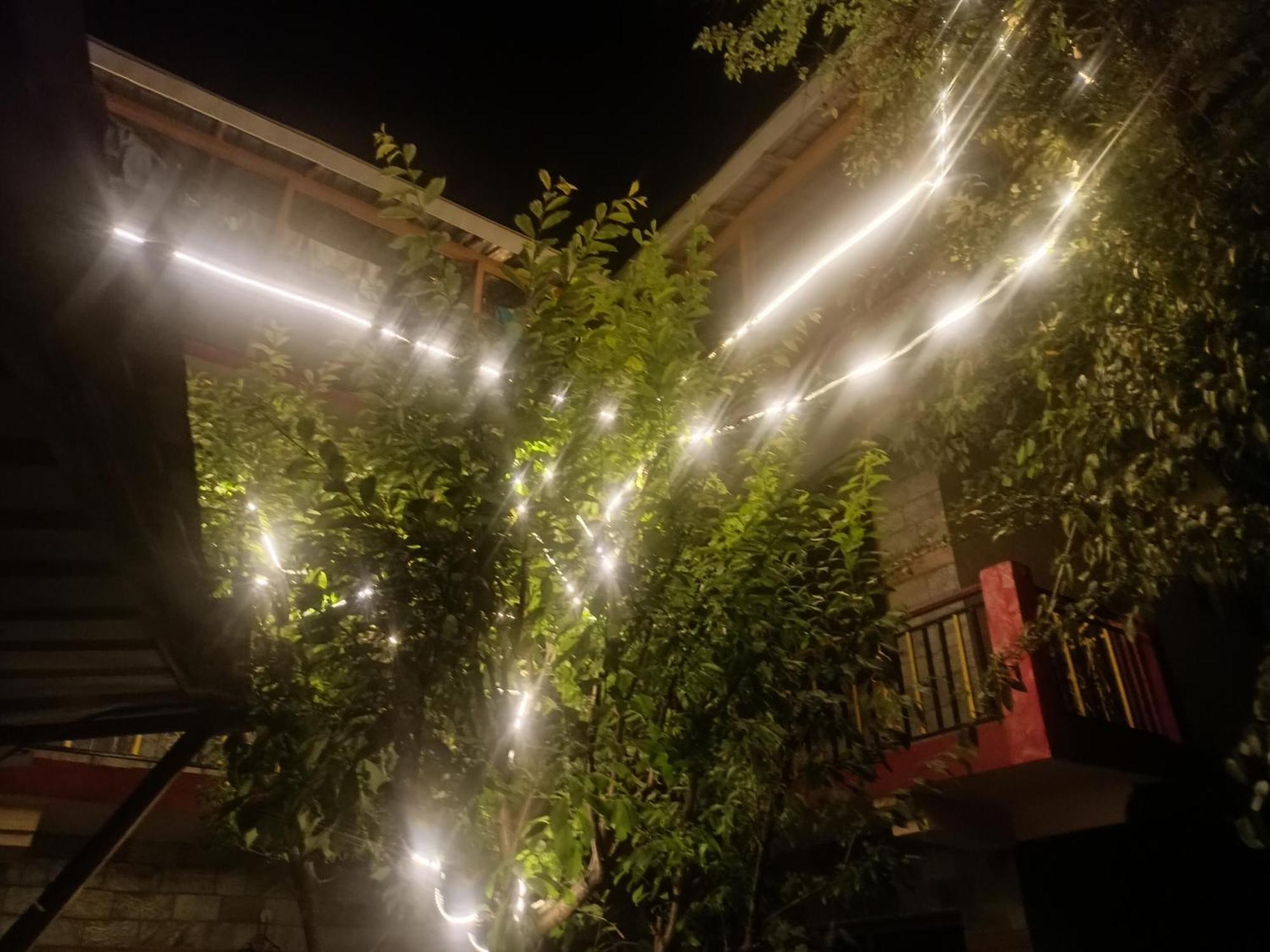 Tirthan Hilltop Home Stay Banjār Εξωτερικό φωτογραφία